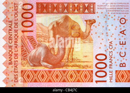 Senegal 1000 One Thousand Franc Bank Note. Stockfoto