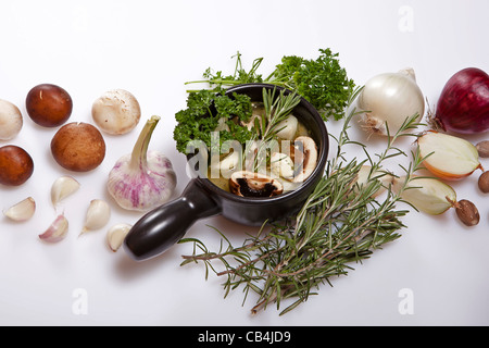 Zubereitung und Zutaten für einen frischen Pilz-Brühe Stockfoto