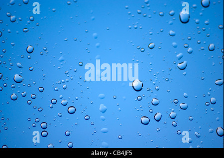 Wassertropfen auf Glas Stockfoto