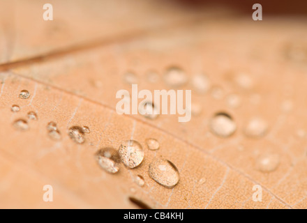 Tropfen Stockfoto
