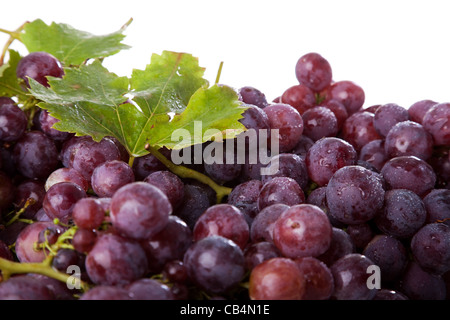 Zweig der Trauben auf einem weißen Hintergrund (Tiefenschärfe) Stockfoto