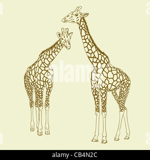 Zwei Giraffen. Vektor-Illustration. Stockfoto