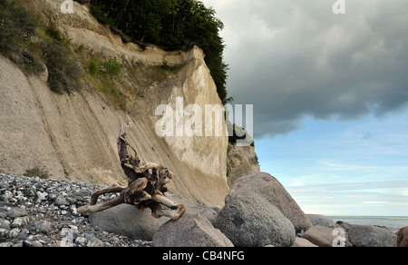 Kreide Klippen Insel rügen Stockfoto