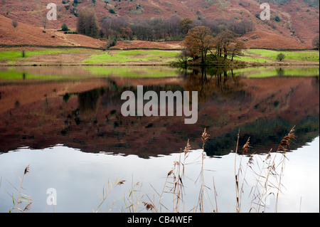 Spiegelung im Crummock Wasser eines Sees in Cumbria Lake District England UK Stockfoto
