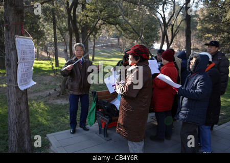 Spontane Chor Sonntagnachmittag, Park Peking, China, Asien. Chinesen versammeln sich in Gruppen zu singen & im Wintersonne draußen spielen. Stockfoto