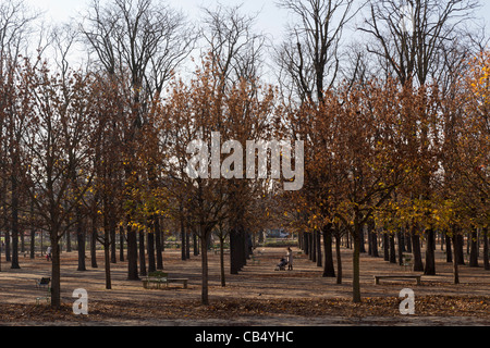 Herbst in der Jardin des Tuileries, Paris, Frankreich Stockfoto