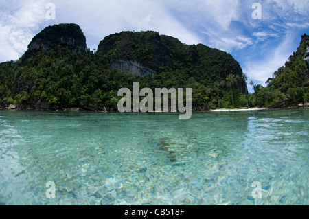 Split-Level-Foto, Misool Bereich, Raja Ampat, West Papua, Indonesien, Pazifik Stockfoto