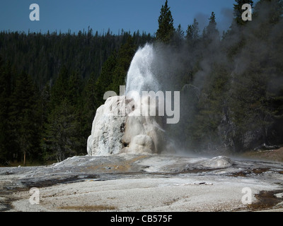 Lone Star Geyser Yellowstone Nationalpark Wyoming USA Stockfoto