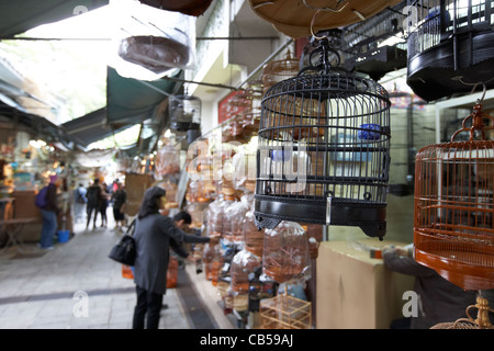 Vogelkäfige zum Verkauf an Yuen po street Bird garden Mongkok Bezirk Kowloon Hong Kong Sonderverwaltungsregion Hongkong China Stockfoto