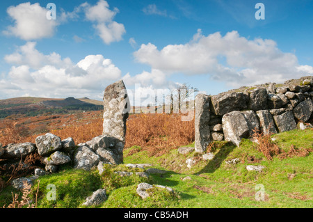 Granit-Torpfosten im alten Steinmauer auf Dartmoor, mit Toren hinter, Devon, UK Stockfoto