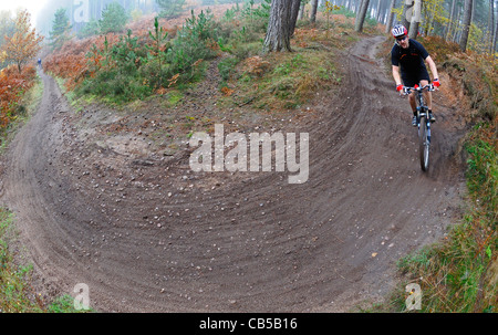 Männlichen Mountain-Bike-Fahrer eine Biegung in einen Waldweg zu verhandeln Stockfoto