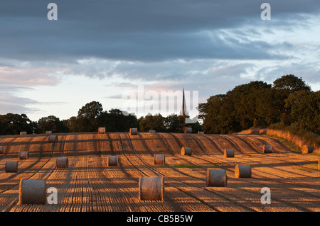 Heu-Rollen bei Sonnenuntergang Stockfoto