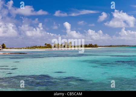 Seeküste mit Palmen und kleinen Häusern auf dem Wasser. Stockfoto