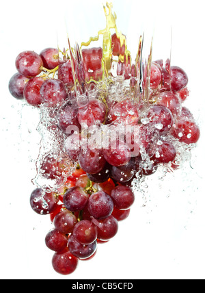 Trauben-Cluster in Wasser spritzt Stockfoto