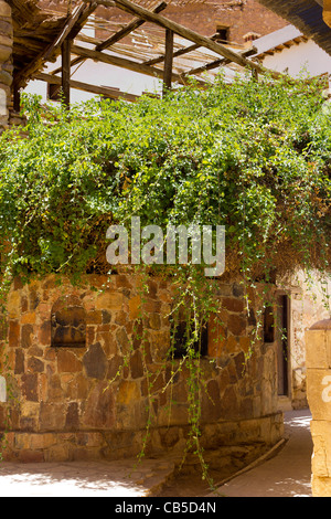 Der brennende Dornbusch, Katharinenkloster, Sinai-Halbinsel, Ägypten Stockfoto