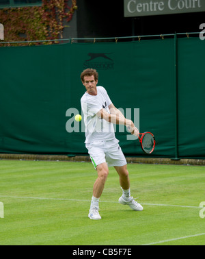 18.06.2011. Andy Murray Praktiken auf Nr. 14 Platz.  Das Tennisturnier von Wimbledon. Stockfoto