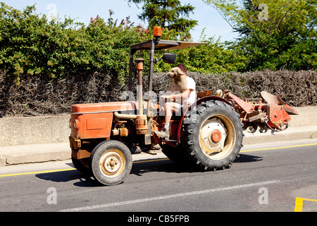 Lustiges Foto; Mann fährt mit seinem Traktor mit Hund über Sitz Stockfoto
