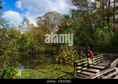 Vogelbeobachter auf der Promenade in der National Audubon Society Corkscrew Swamp Sanctuary, in der Nähe von Neapel, Golfküste, Florida, USA Stockfoto