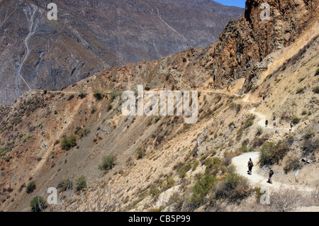 Wanderer im Colca Canyon, Peru Stockfoto