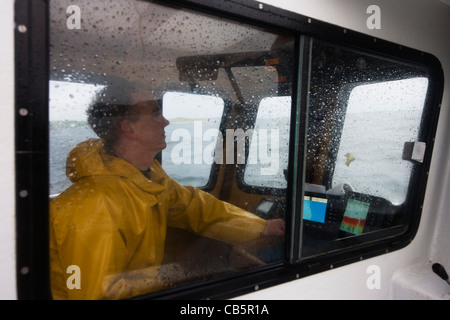 Mit Hilfe von GPS, Fischer, die Segel Neil Cameron gegenüber seinem Gatter-Standort mit samt und grüne Krabbe aus Isle of Mull gefüllt werden. Stockfoto