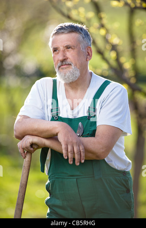 Porträt eines älteren Mannes in seinem Garten Gartenarbeit (getönten Farbbild) Stockfoto