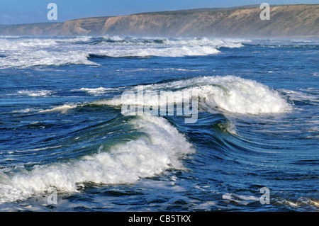 Portugal, Algarve: Wellen am Strand Praia da Bordeira Stockfoto