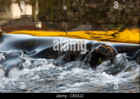 Schnell fließenden Gebirgsbach im Herbst. Stockfoto