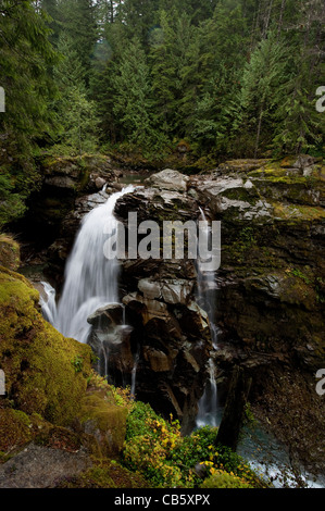 Nooksack Falls ist ein Wasserfall entlang der North Fork des Flusses Nooksack im Whatcom County, Washington, USA. Stockfoto