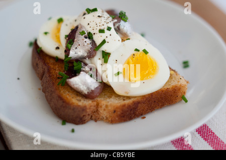 Eine schwedische klassische offene konfrontiert-Sandwich mit geschnittenen, hartgekochten Ei, garniert mit Dosen schwedischen Alice (eingelegte Sprotten) Stockfoto