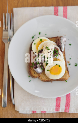 Eine schwedische klassische offene konfrontiert-Sandwich mit geschnittenen, hartgekochten Ei, garniert mit Dosen schwedischen Alice (eingelegte Sprotten) Stockfoto