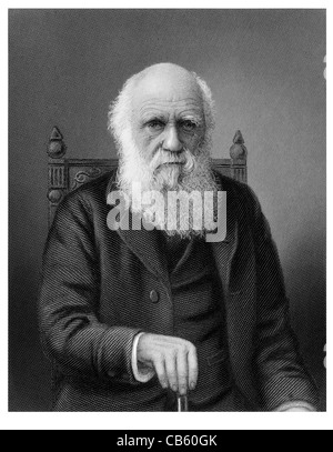 Charles Robert Darwin 1809 1882 englische Naturforscher wissenschaftliche Theorie Evolution natürliche Selektion On the Origin of Species Stockfoto