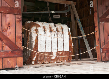 Alabama, Montgomery, Alabama Altstadt, living History Museum, Cotton Gin um 1900, Ballen Baumwolle Stockfoto