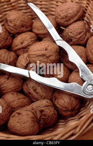 Weidenkorb Walnüsse mit Nussknacker Stockfoto