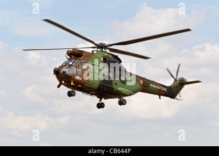 Ein Aerospatiale Puma der französischen Armee an land Stockfoto