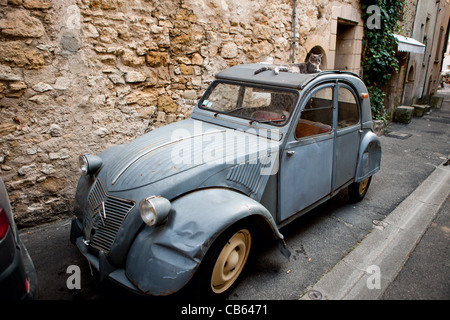 Eine Katze ist bequem thront auf einem alten VW Käfer geparkt in eine schmale Straße in Lourmarin, Provence, Frankreich Stockfoto