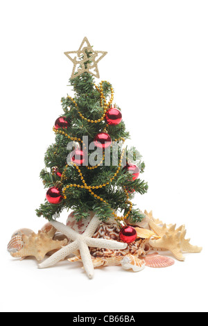 Weihnachtsbaum und Muscheln auf weißem Hintergrund. Stockfoto