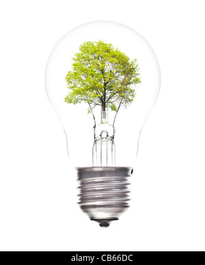 Lampe Licht mit grüner Baum innen isoliert auf weißem Hintergrund Stockfoto