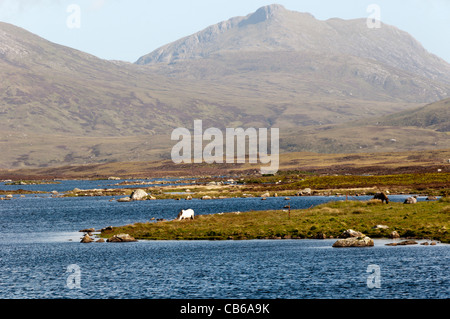 Loch Druidibeag auf der Insel South Uist in den äußeren Hebriden, Schottland Stockfoto