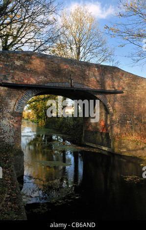 Newtown Roving Brücke, Stroudwater Navigation Canal, Gloucestershire. Kanal derzeit in Restaurierung Stockfoto