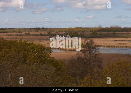 Hickling Broad, Norfolk. Blick über das Naturschutzgebiet in Richtung Whiteslea Lodge von Norfolk Wildlife Trust Aussichtsturm. Stockfoto