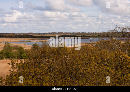 Hickling Broad, Norfolk. Mit Blick auf Martham und West Somerton von Norfolk Wildlife Trust Aussichtsturm. Stockfoto