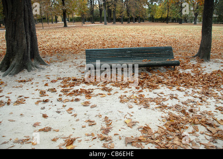 Holzbank, umgeben von Kastanienbäumen Blätter im Herbst gesehen im Parco Ducale in Partma, Emilia-Romagna, Italien Stockfoto