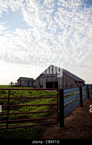 Alte Scheune mit Zaun. Iowa. Midwest. Bauernhof. Stockfoto