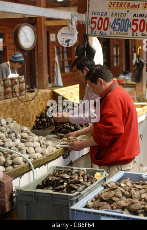 Angelmo Fischmarkt, Puerto Montt, Lake District, Chile Stockfoto