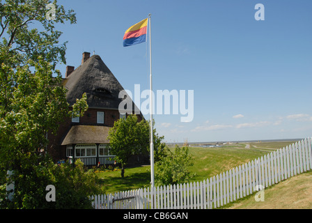 Friesische Flagge auf der Pole vor Kirchwarft, die Kirche Gründen, auf der nordfriesischen Insel von Hallig Hooge, Deutschland Stockfoto