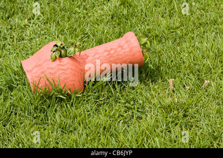 einen dekorativen Topf in einem schönen grünen Rasen Stockfoto