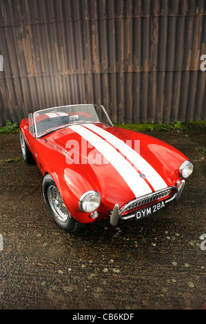 1963-AC Cobra 289 CSX2116- Stockfoto