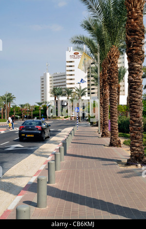 Gehweg mit Palmen, Hotel, Totes Meer, Israel, Asien Stockfoto