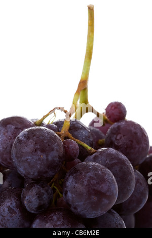 ein Makro-Detail von frischen Trauben (isoliert auf weiss) Stockfoto