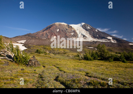 Almwiese im High Camp unter die Kletterroute Adams Gletscher am Mount Adams in der Mount Adams Wilderness Area. Stockfoto